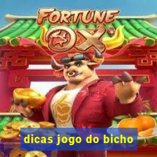 dicas jogo do bicho